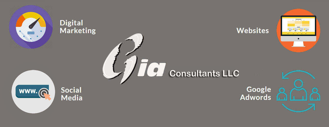 Gia Consultants LLC Services